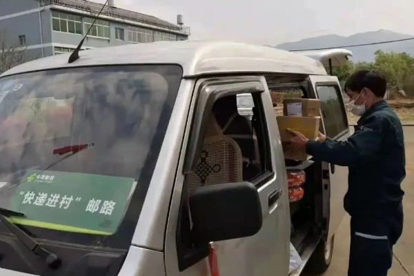 农村的发展潜力项目,推荐特色药材、大棚蔬菜种植等