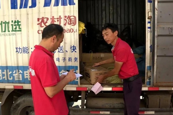 农村的发展潜力项目,推荐特色药材、大棚蔬菜种植等