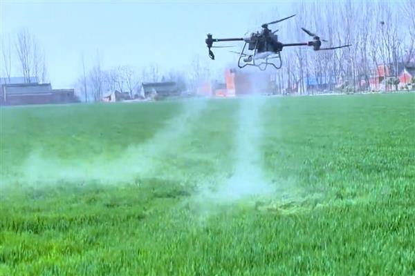 小麦打药的注意事项，必须避开中午高温时段