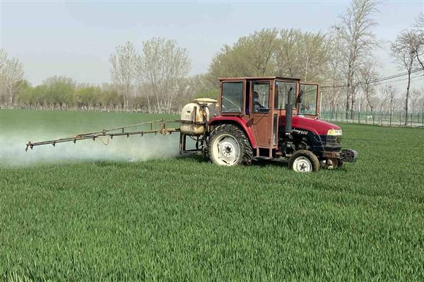 小麦打药的注意事项，必须避开中午高温时段