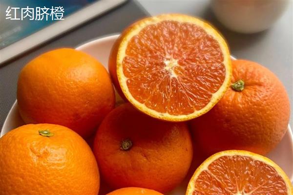 柑橘有什么品种,以下10个品种很常见