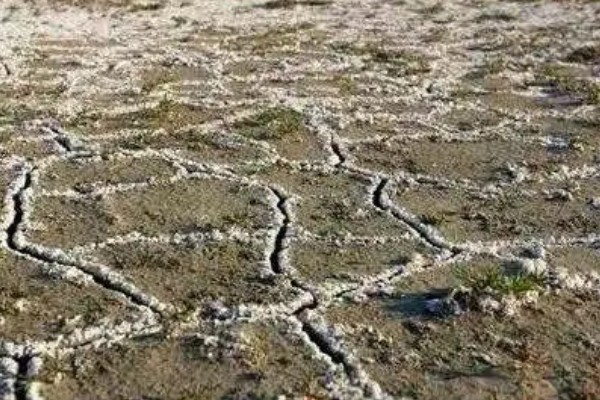 肥料施用过多对作物生长的坏处,会使作物生长受到抑制