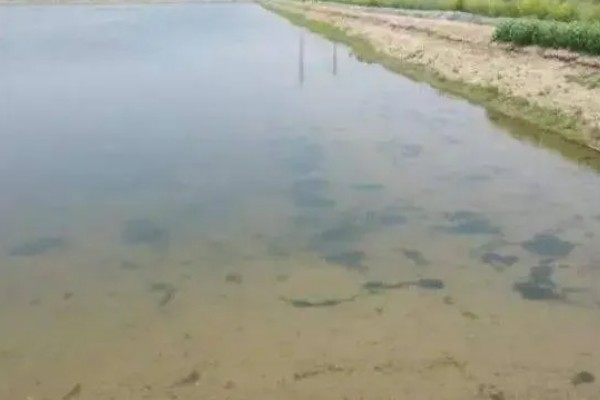 肥料施用过多对作物生长的坏处,会使作物生长受到抑制