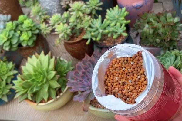 肥料施用过多对作物生长的坏处,会使作物生长受到抑制