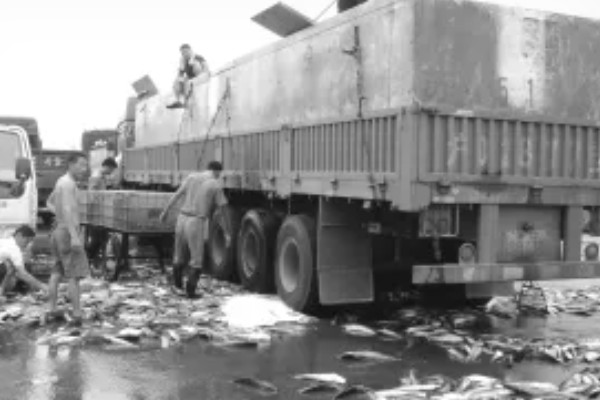 鲶鱼有鱼鳞吗,它们的鳞片已经退化