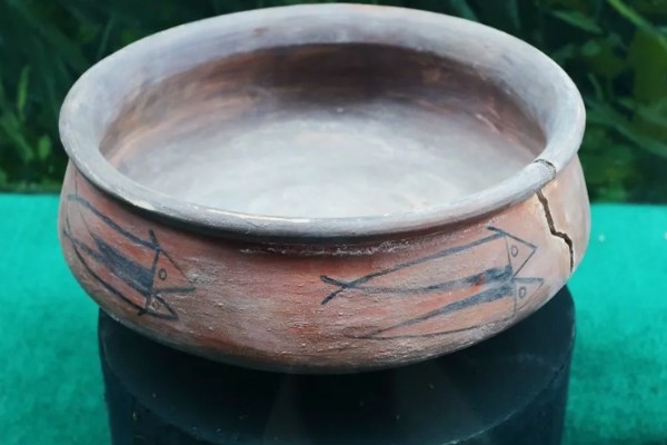 锦带花的盆栽养殖方法,可选择素陶盆种植