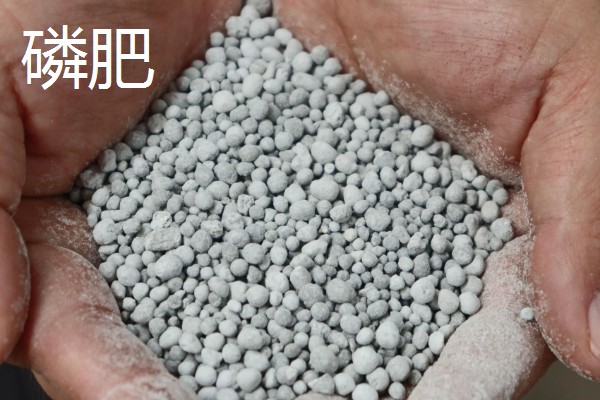 磷肥和二铵的区别，氮磷比例及酸碱性等方面都不同