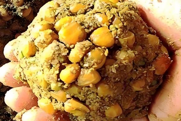 鲫鱼窝料用什么味型的，经常用的有酒味、甜味等