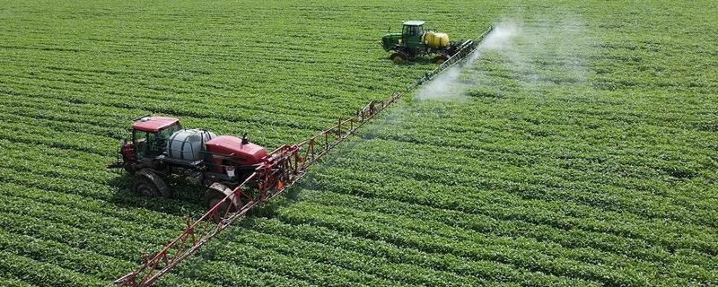 打完嗪草酮过多久下雨不影响效果，用药后经过8小时下雨对药效的影响较小