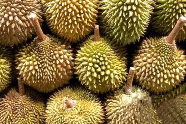 榴莲肉怎么保存，可自然保存也可冷藏保存