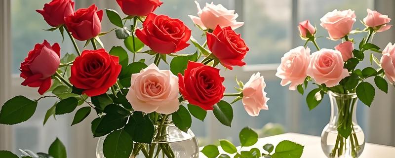 蔷薇科花的品种，常见的有绣线菊、月季等