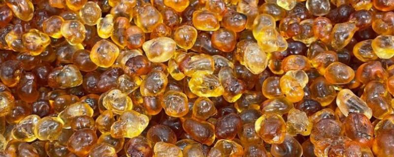 桃树上面的桃胶能不能直接食用,未经处理含有很多杂质和细菌