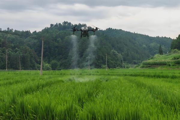 氯溴异氰尿酸的用量，取决于作物的类型