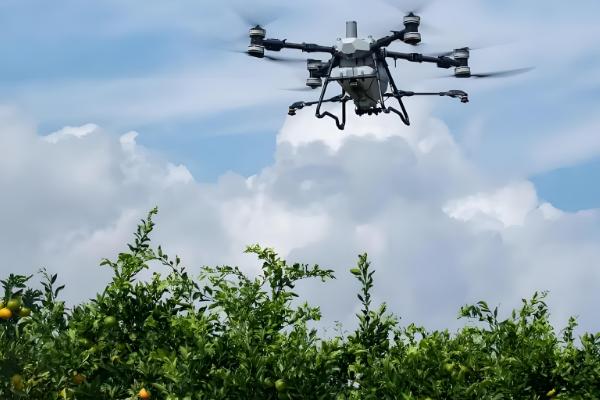 氯溴异氰尿酸的用量，取决于作物的类型