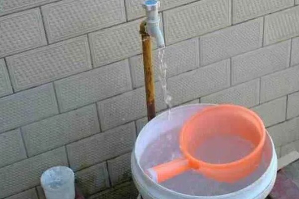 养兰寿金鱼应该用什么过滤,周转箱、滴滤、下滤均可使用