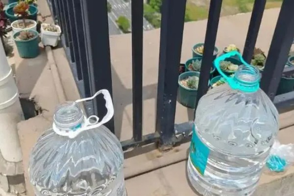 养兰寿金鱼应该用什么过滤,周转箱、滴滤、下滤均可使用