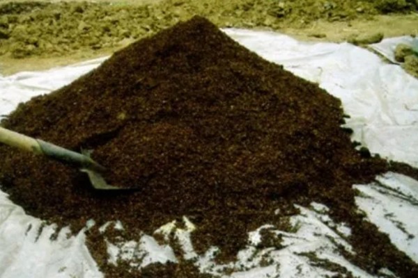 厩肥施用注意事项,首先要看作物种类