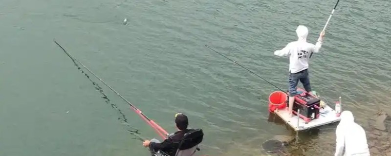 水库钓翘嘴的深度,垂钓大型翘嘴鱼要达到2-3米