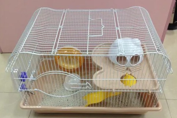 清洗仓鼠笼子要注意什么，让仓鼠远离笼子可避免它闻到酒精的气味