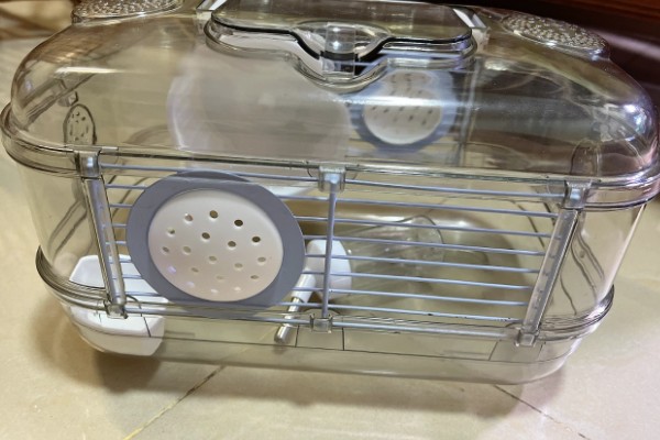 清洗仓鼠笼子要注意什么，让仓鼠远离笼子可避免它闻到酒精的气味