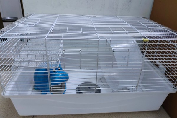 清洗仓鼠笼子要注意什么，让仓鼠远离笼子可避免它闻到酒精的气味