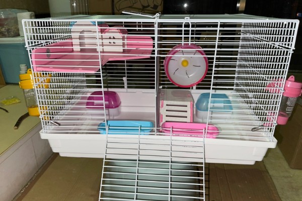 清洗仓鼠笼子要注意什么，让仓鼠远离笼子可避免它闻到酒精的气味