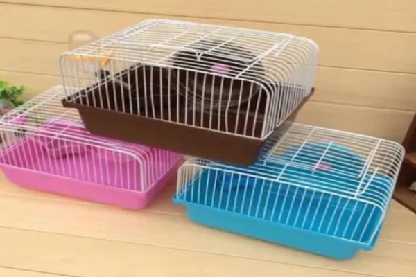 清洗仓鼠笼子要注意什么，让仓鼠远离笼子可避免它闻到酒精的气味