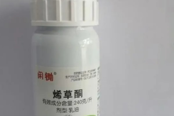 打完嗪草酮过多久下雨不影响效果，用药后经过8小时下雨对药效的影响较小