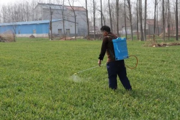 打完嗪草酮过多久下雨不影响效果，用药后经过8小时下雨对药效的影响较小