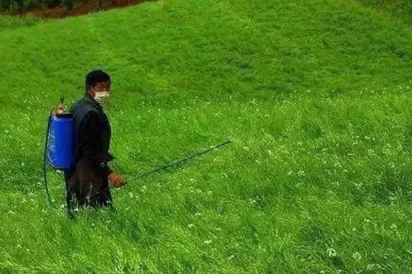 打完嗪草酮过多久下雨不影响效果，用药后经过8小时下雨对药效的影响较小