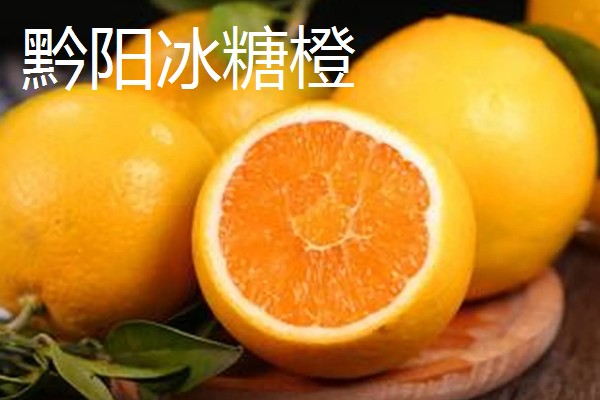 中国最好的橙子产地，有秭归、奉节等