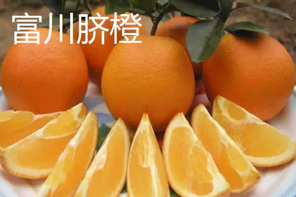 中国最好的橙子产地，有秭归、奉节等
