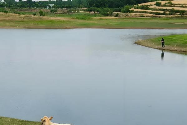 有什么关于小满的农谚,小满未满还有危险