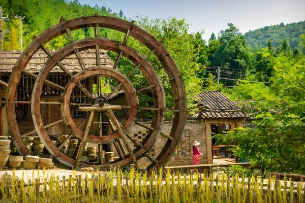 有什么关于小满的农谚,小满未满还有危险