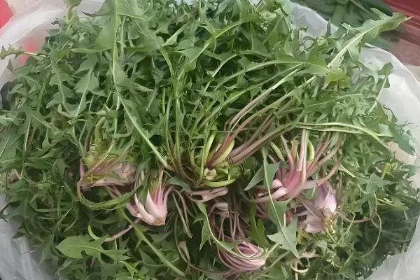 有什么关于小满的农谚,小满未满还有危险