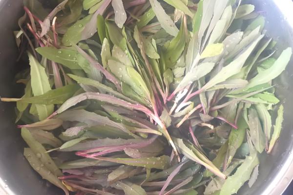 有什么关于小满的农谚,小满未满还有危险