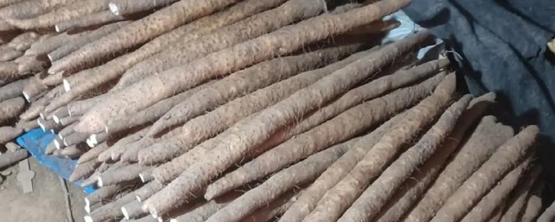 脆和面的山药区分，外观和产地均不同