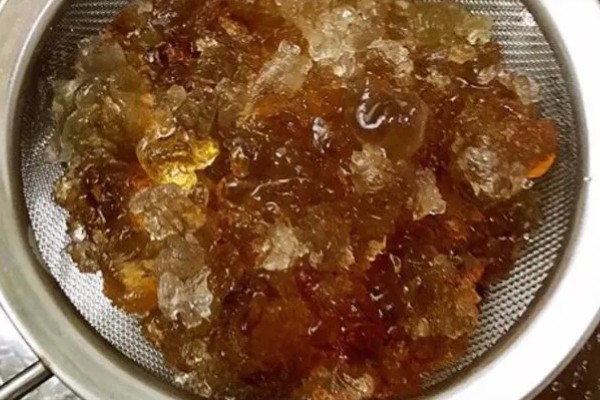 桃树上面的桃胶能不能直接食用，未经处理含有很多杂质和细菌