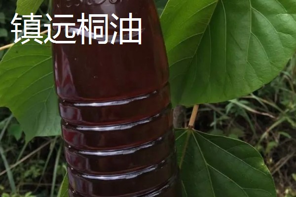 贵州省镇远县的特产，有镇远水蜜桃、镇远金堡米酒等