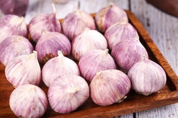 独头蒜的留种方法，经过低温春化在缺水的情况下容易形成