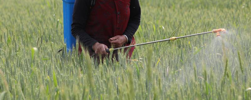 怎么使用生物农药，在阴天或下午5点后使用