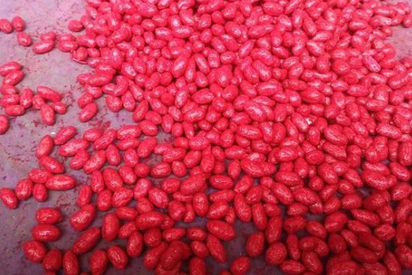 花生的种植注意事项，要注意选种和处理种子