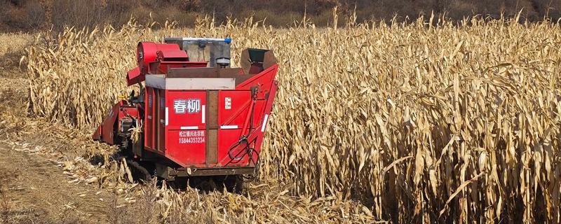 玉米的测产方法，可采用取样法