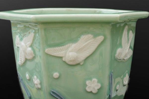 红朱蕉的水培方法，每隔1周换一次水