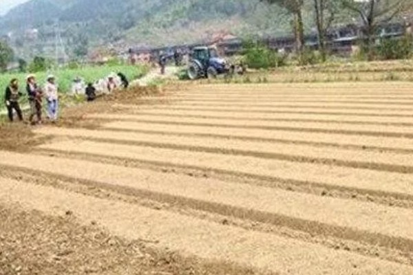 西瓜疫病如何防治，可农业防治也可化学防治