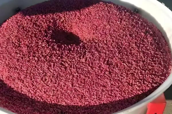 小麦常见病害有哪些，常见的有锈病、白粉病等