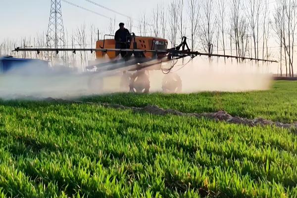 小麦常见病害有哪些，常见的有锈病、白粉病等