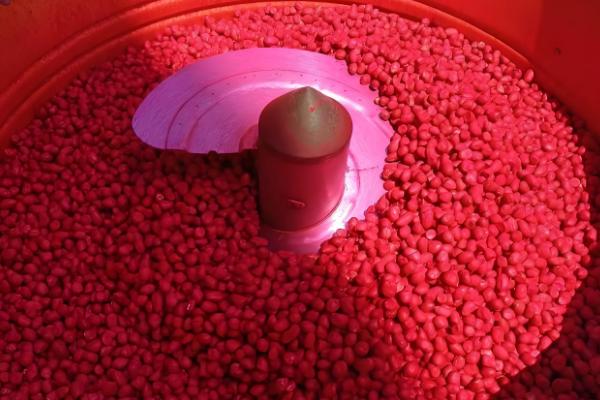 小麦常见病害有哪些，常见的有锈病、白粉病等