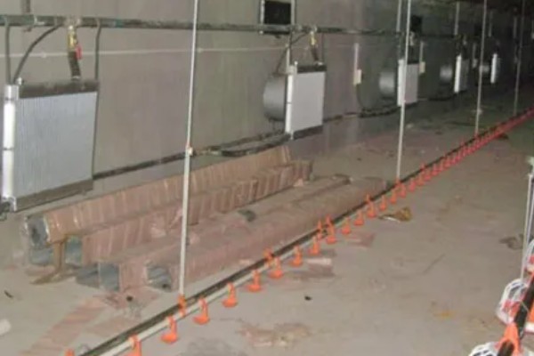 冬季猪舍的正常温度,饲养新生仔猪需保持在30℃左右