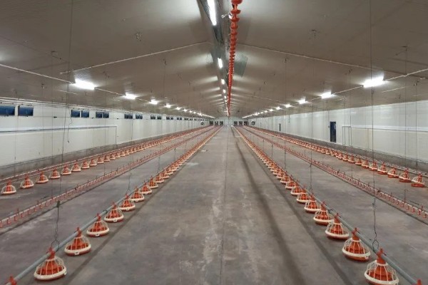 冬季猪舍的正常温度,饲养新生仔猪需保持在30℃左右